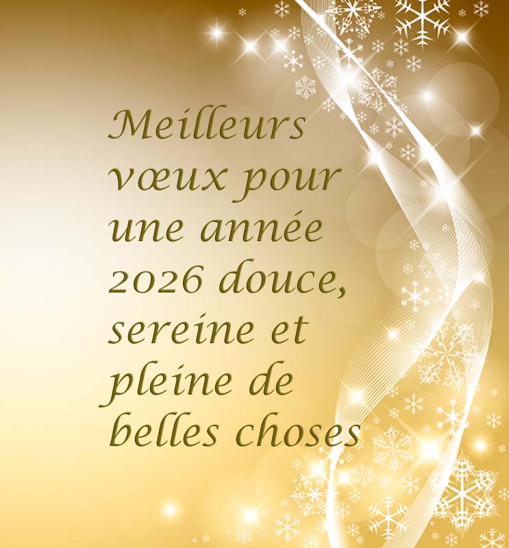 Bonne Année