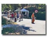 Groupe de chevalier sur le boulevard